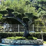 Park Oasi 3* Zambrone