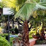 Hotel Park Oasi 3*