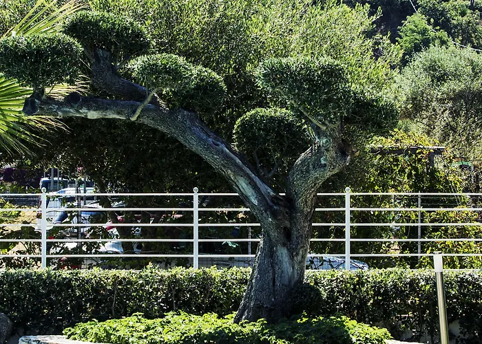 Park Oasi 3* Zambrone